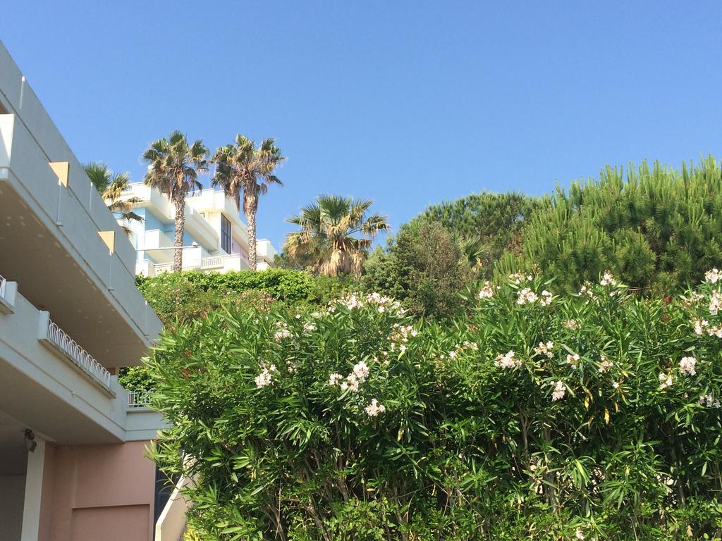 ماسيغنانو Residence Azzurro الغرفة الصورة